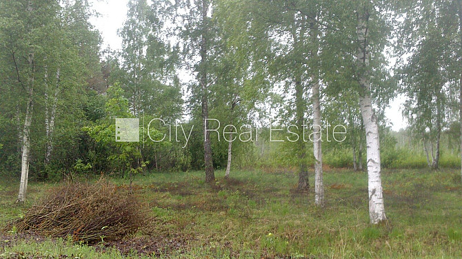 Zaļā teritorija, labiekārtota apzaļumota teritorija, zeme robežojas ar ielu, līdz jūrai 400 Tukums un Tukuma novads - foto 1