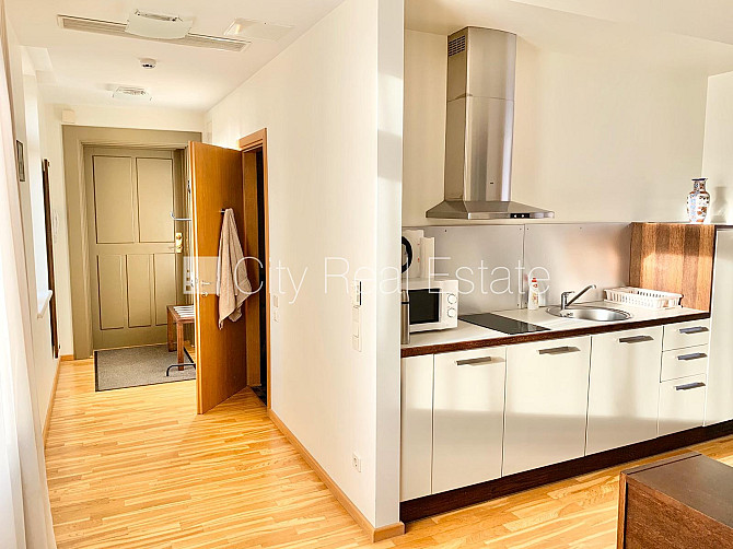 Fasādes māja, ieeja no ielas, ir lifts, guļamistabu skaits 1 gab., augstie griesti, gāzes Rīga - foto 18