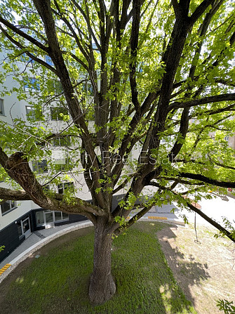 Renovēta māja, apsaimniekošanas maksa mēnesī 91,74 EUR, labiekārtots apzaļumots pagalms, Rīga - foto 14