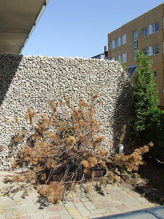 Jaunceltne, labiekārtota apzaļumota teritorija, slēgta teritorija, pirmais stāvs ar dārzu, Rīga - foto 14