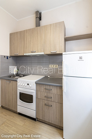 Fasādes māja, renovēta māja, labiekārtota apzaļumota teritorija, ieeja no ielas un pagalma, Rīga - foto 8