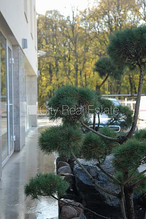 Jaunceltne, fasādes māja, labiekārtota apzaļumota teritorija, labiekārtots apzaļumots Rīga - foto 17