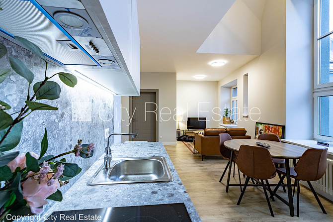 Дом во дворе, реновированный дом, благоустроенная озеленённая территория, вход с Рига - изображение 8