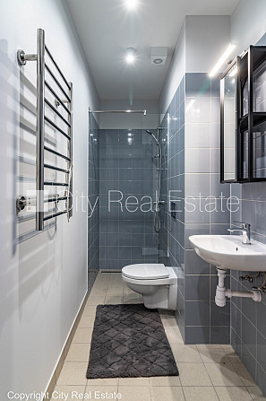 Дом во дворе, реновированный дом, благоустроенная озеленённая территория, вход с Рига - изображение 9