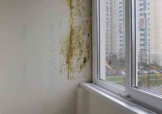 Удаление запахов и полная дезинфекция помещений озоном. В Риге, Рижском районе, Юрмале. Nevēlamu... Рига