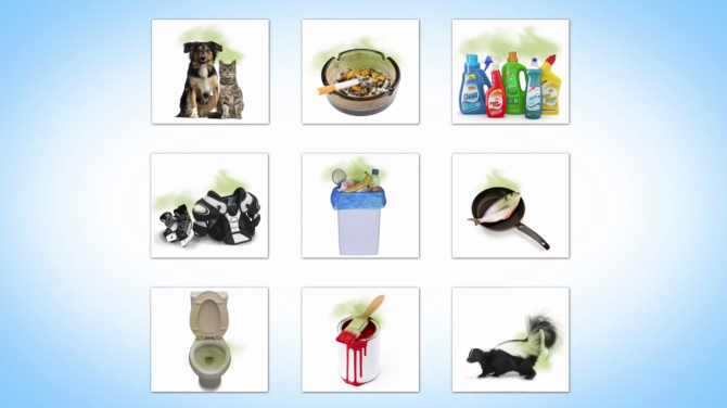 Удаление запахов и полная дезинфекция помещений озоном. В Риге, Рижском районе, Юрмале. Nevēlamu... Рига - изображение 6