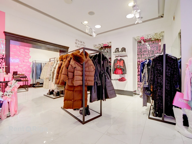 Представительные помещения для торговли, сферы услуг или офиса  Характеристика Рига - изображение 8