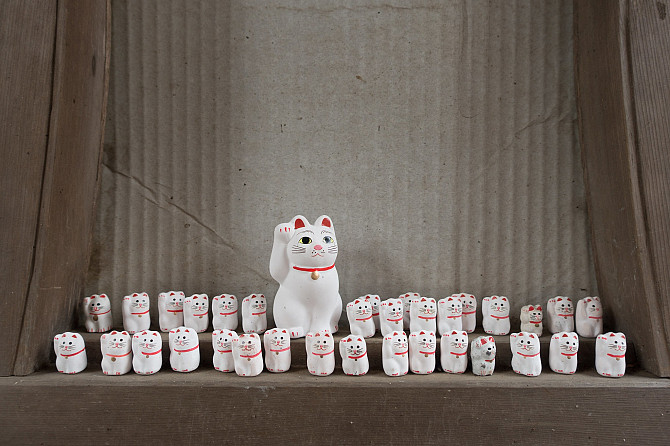 Напрямую из Японии от носителя языка
( в данный момент есть свободные каждое утро рабочего дня с... Rīga - foto 7