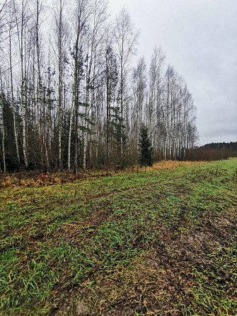Pārdod divus, blakus esošus zemes īpašumus, to kopējā platība ir 12.49 ha, Lēdurgas pagastā, Sigulda Лимбажи и Лимбажский край - изображение 4