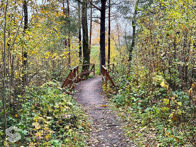 Pārdod 1/2 domājamo daļu jeb 2.03 ha no zemes gabala ar kopējo platību 4.06 ha Ādažos blakus autoceļ Адажский округ - изображение 6