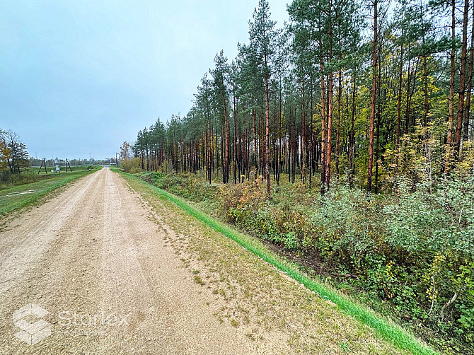 Pārdod 1/2 domājamo daļu jeb 2.03 ha no zemes gabala ar kopējo platību 4.06 ha Ādažos blakus autoceļ Адажский округ - изображение 7