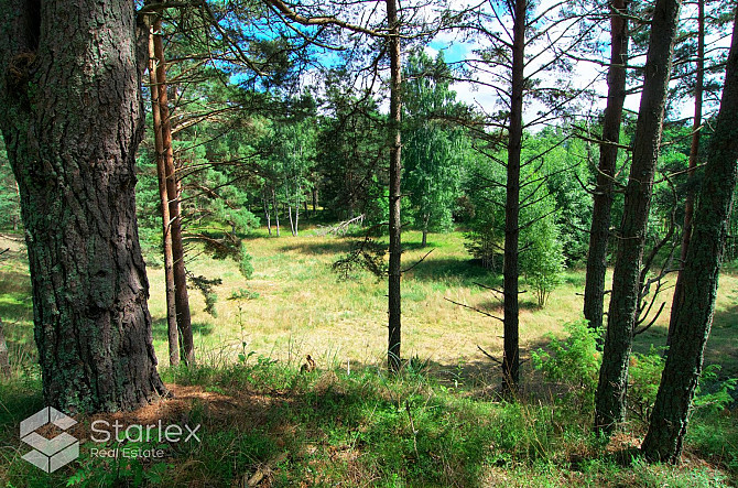 Pārdod zemes īpašumu ar kopējo platību 3,79 ha Mazirbē, pirmajā līnijā no jūras. Lielisks Talsi un Talsu novads - foto 14