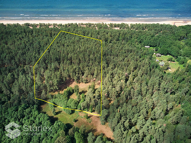 Pārdod zemes īpašumu ar kopējo platību 3,79 ha Mazirbē, pirmajā līnijā no jūras. Lielisks Talsi un Talsu novads - foto 2