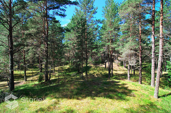 Pārdod zemes īpašumu ar kopējo platību 3,79 ha Mazirbē, pirmajā līnijā no jūras. Lielisks Talsi un Talsu novads - foto 12