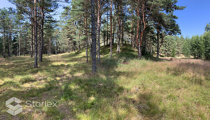 Pārdod zemes īpašumu ar kopējo platību 3,79 ha Mazirbē, pirmajā līnijā no jūras. Lielisks Talsi un Talsu novads - foto 10