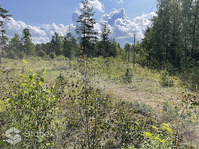Pārdod plašu zemes gabalu Stopiņu novada, Rumbulā Getliņu iela 19 ( Apiņi).
Īpašuma Rīgas rajons - foto 2