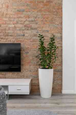 Здаютса в аренду 2-комнатная квартира с изысканным дизайном интерьера в тихом Рига