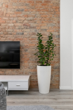 Здаютса в аренду 2-комнатная квартира с изысканным дизайном интерьера в тихом Рига - изображение 4