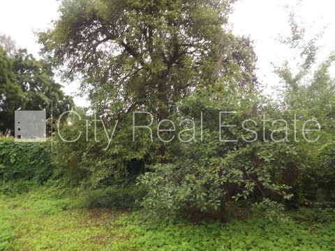 Fasādes māja, kāpņu telpa pēc kosmētiskā remonta, viena istaba izolēta, studio tipa, Rīga - foto 18