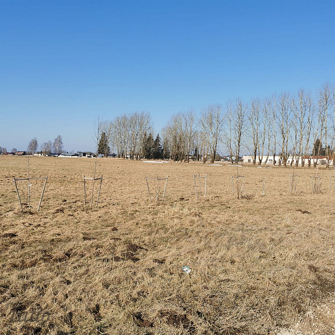 Tiek pārdots perspektīvs zemes īpašums Siguldas pilsētas teritorijā ar platību 5,67 ha, kas robežoja Cигулда - изображение 6