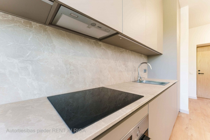 Современная и продуманная до мелочей трёхкомнатная квартира по адресу Лиелирбес Рига - изображение 6