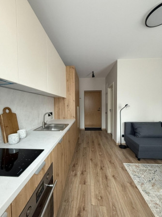 Ilgtermiņa īrei pieejams studio tipa dzīvoklis.  Pārdomāts dzīvokļa plānojums, kas sastāv no koridor Рига - изображение 1