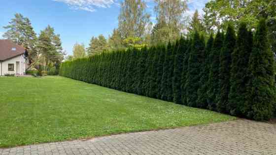 Сдается в аренду светлый, уютный, благоустроенный дом в Дубултосе с камином. Дом Юрмала