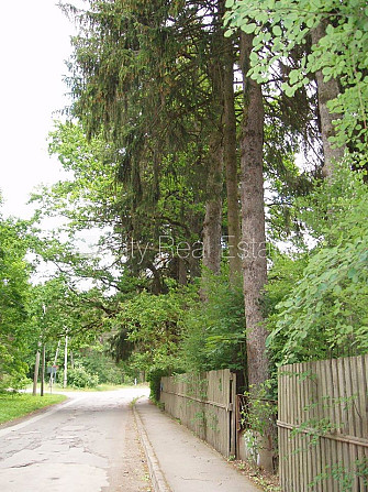 Dakstiņu jumta segums, fasāde ar koka apdari, iežogota teritorija, malkas apkure, iespēja Rīgas rajons - foto 10