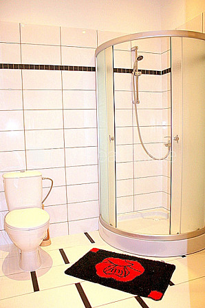 Istabas izolētas, studio tipa, virtuve apvienota ar viesistabu, mainīti radiatori, radiatori ar Jūrmala - foto 7