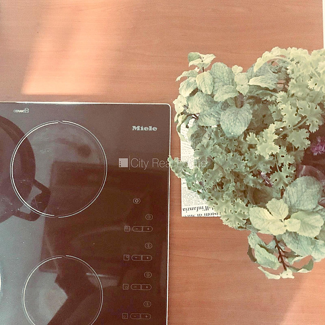 Фасадный дом, закрытый двор, место для машины, вход с улицы, лестничная клетка Рига - изображение 9