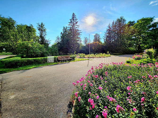 Благоустроенная озеленённая территория, места для нескольких машин, стоянка на Добеле и район - изображение 7