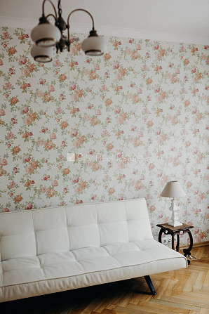 Fasādes māja, restaurēta māja, labiekārtota apzaļumota teritorija, ieeja no ielas, logi Rīga - foto 8