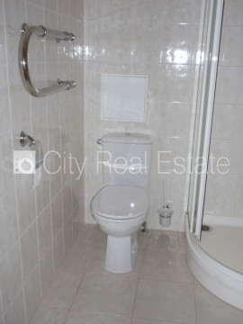 Фасадный дом, реновированный дом, поменянное покрытие крыши, благоустроенная Рига - изображение 7