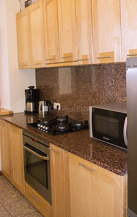 Labiekārtota apzaļumota teritorija, iežogota teritorija, vieta vairākām automašīnām, Jūrmala - foto 18