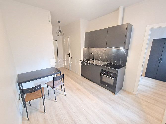 Фасадный дом, реновированный дом, территория обнесена забором, вход с улицы и со Рига - изображение 4