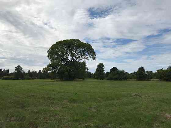 Investīciju objekts pie jūras  43,64 ha ar elektrības pieslēgumu
Pārdod četrus blakus esošus zemes g Liepāja