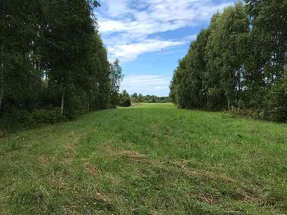 Investīciju objekts pie jūras  43,64 ha ar elektrības pieslēgumu
Pārdod četrus blakus esošus zemes g Liepāja