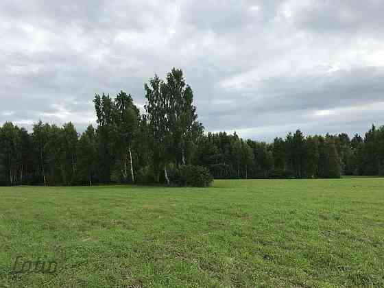 Investīciju objekts pie jūras  43,64 ha ar elektrības pieslēgumu
Pārdod četrus blakus esošus zemes g Liepāja