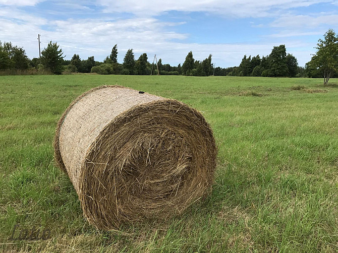 Investīciju objekts pie jūras  43,64 ha ar elektrības pieslēgumu
Pārdod četrus blakus Liepāja - foto 3