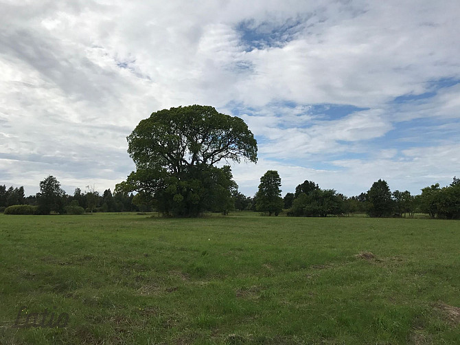 Investīciju objekts pie jūras  43,64 ha ar elektrības pieslēgumu
Pārdod četrus blakus Liepāja - foto 2