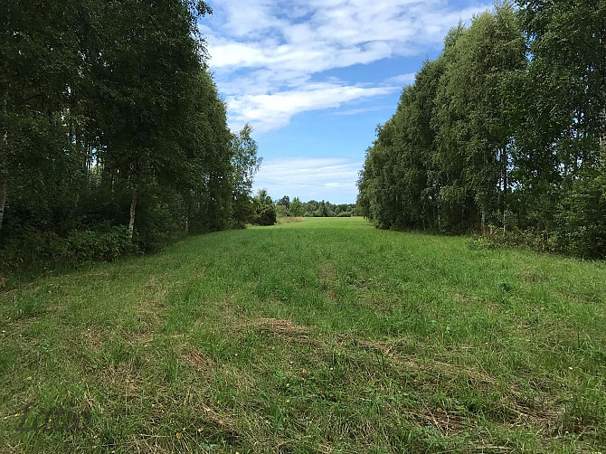 Investīciju objekts pie jūras  43,64 ha ar elektrības pieslēgumu
Pārdod četrus blakus Liepāja - foto 5