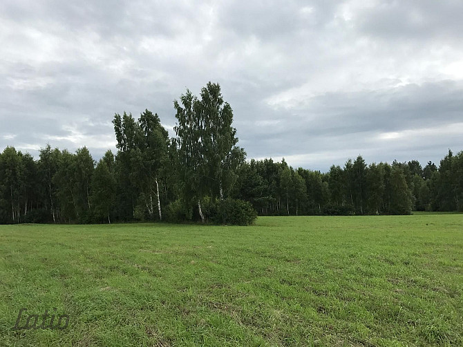 Investīciju objekts pie jūras  43,64 ha ar elektrības pieslēgumu
Pārdod četrus blakus Liepāja - foto 4