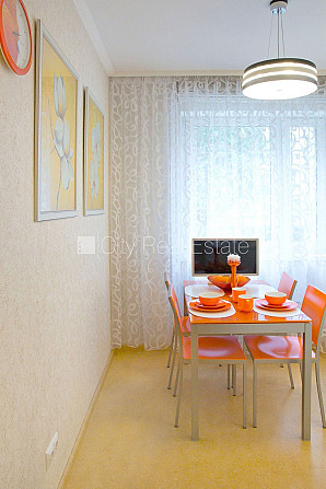 Fasādes māja, renovēta māja, labiekārtota apzaļumota teritorija, ieeja no ielas un pagalma, Rīga - foto 6