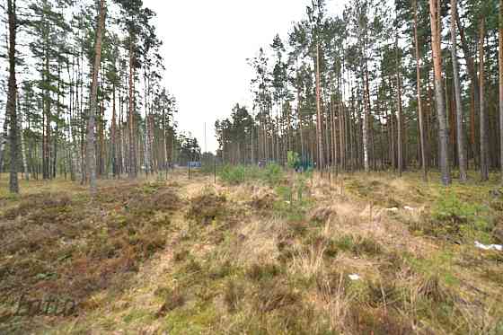 Pārdod privātmāju apbūves zemesgabalu Vecdaugavā, Brīzes iela 58. Zemesgabals atmežojams no priedēm  Rīga