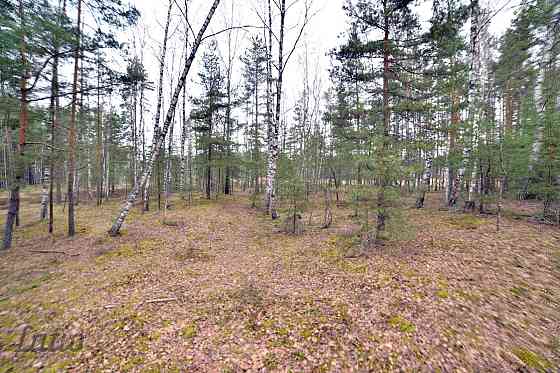 Pārdod privātmāju apbūves zemesgabalu Vecdaugavā, Brīzes iela 58. Zemesgabals atmežojams no priedēm  Rīga