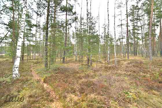 Pārdod privātmāju apbūves zemesgabalu Vecdaugavā, Brīzes iela 58. Zemesgabals atmežojams no priedēm  Rīga