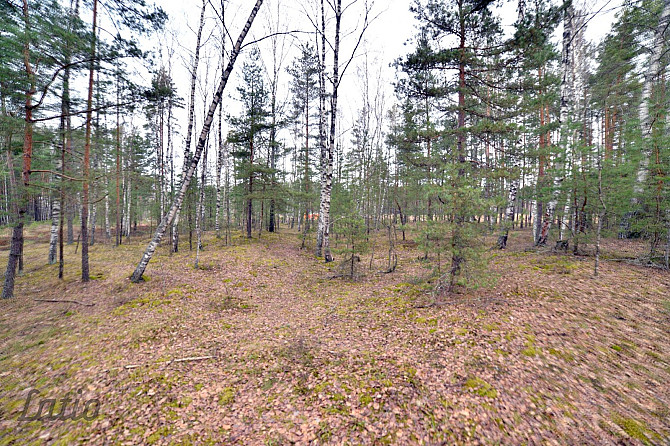 Pārdod privātmāju apbūves zemesgabalu Vecdaugavā, Brīzes iela 58. Zemesgabals atmežojams no Rīga - foto 5
