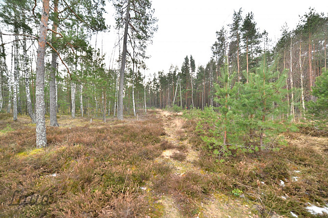 Pārdod privātmāju apbūves zemesgabalu Vecdaugavā, Brīzes iela 58. Zemesgabals atmežojams no Rīga - foto 2