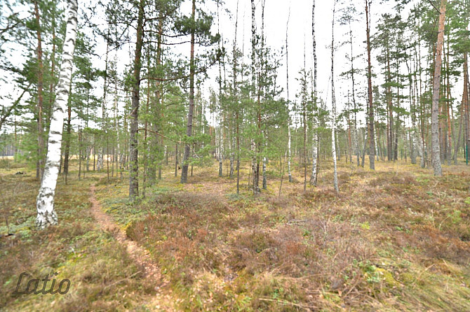 Pārdod privātmāju apbūves zemesgabalu Vecdaugavā, Brīzes iela 58. Zemesgabals atmežojams no Rīga - foto 3