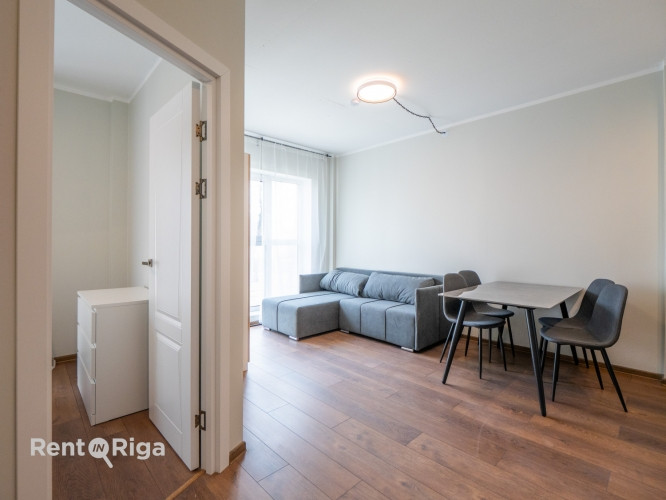 Pieejams plašs un gaišs 2 istabu dzīvoklis ar ērtu plānojumu. Dzīvoklis ir pilnībā Rīga - foto 5